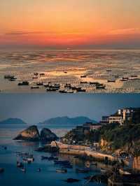 上海周邊寶藏！枸杞島暑期遊，玩轉全場