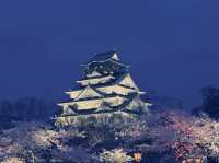 **【穿越時空的浪漫！大阪城公園親身體驗全記錄】**  