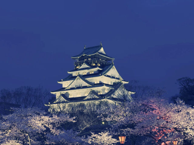 **【穿越時空的浪漫！大阪城公園親身體驗全記錄】**  