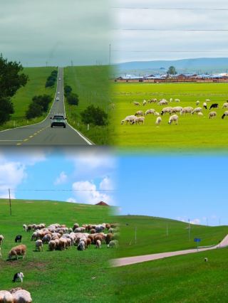 First Trip to Manzhouli Without Getting Lost! Follow This Guide for a Smooth and Fun Experience✨