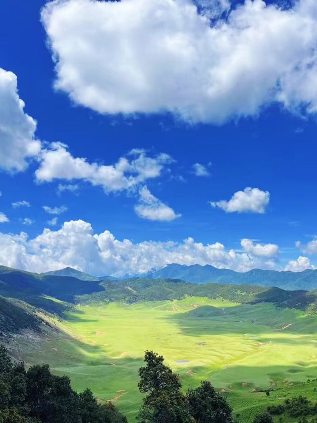 大理花甸壩