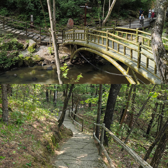 隱藏喺東北嘅秘境｜茅蘭溝，避暑行山超舒服