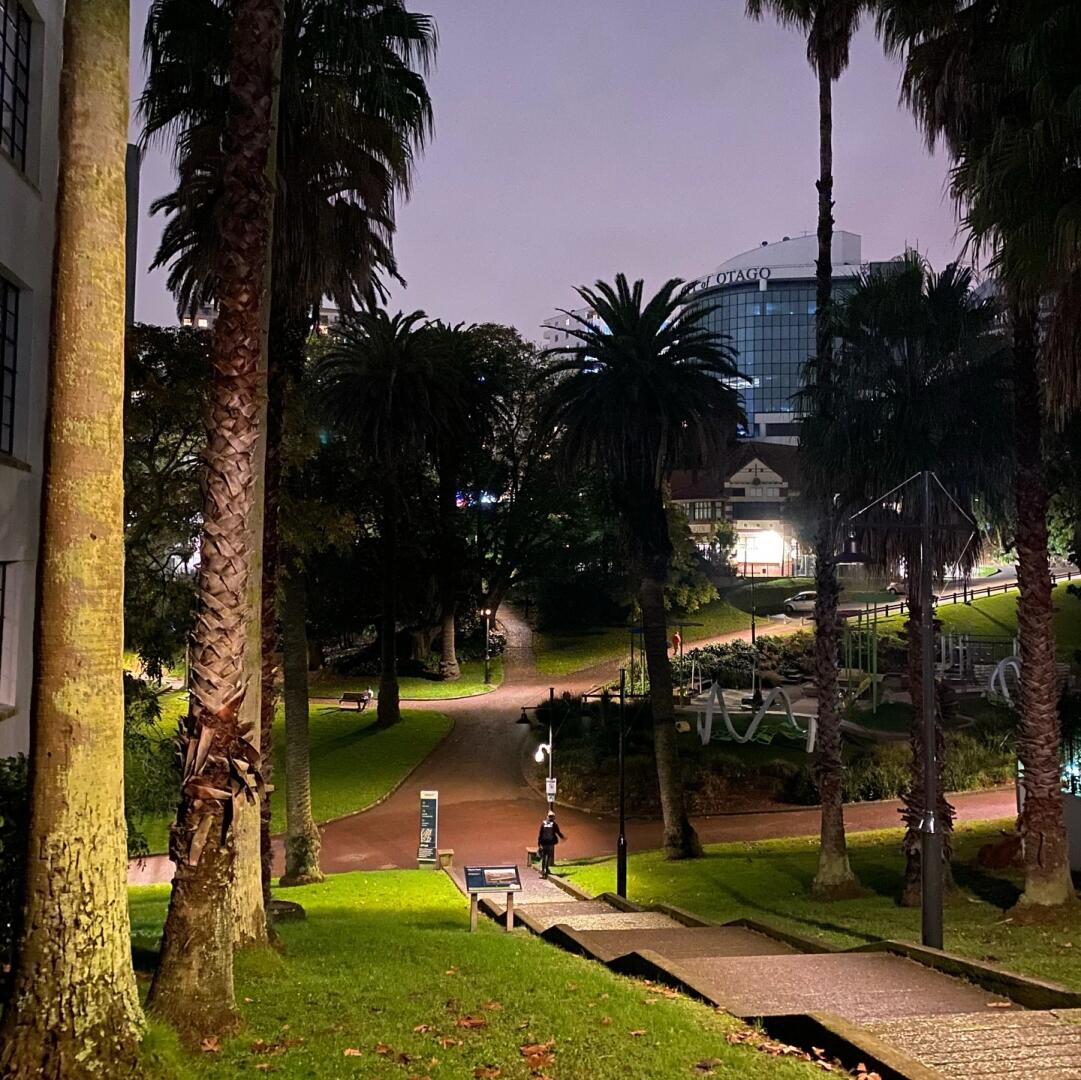 3-Day In-Depth Auckland Tour