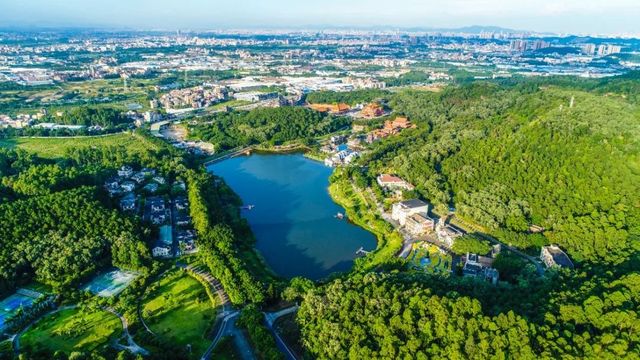 南國桃園森林覆蓋率高達90% 清涼養生