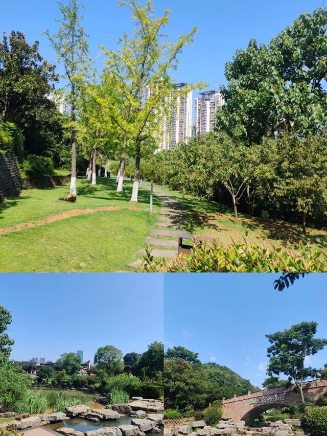 【長沙人私藏！呢條行山路線全程樹蔭+水庫遮太陽