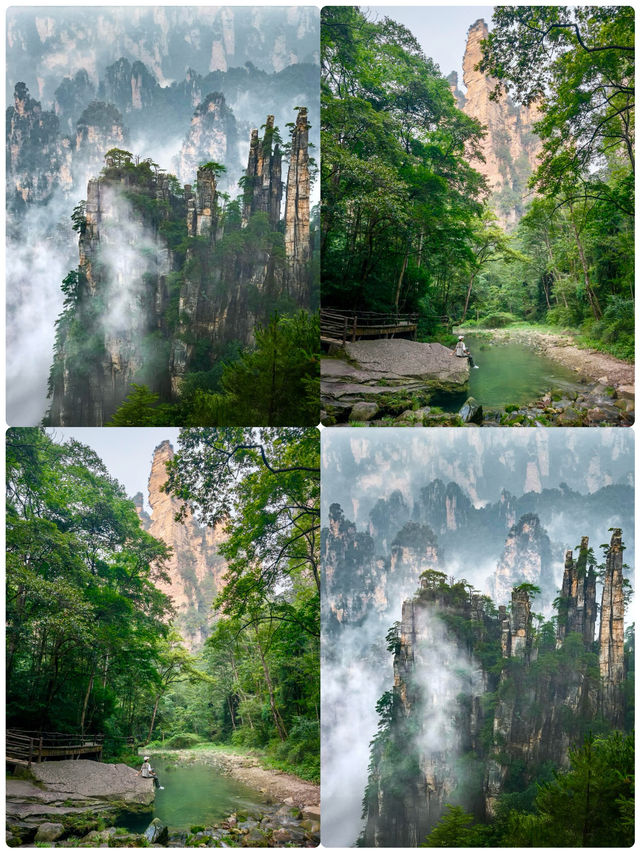張家界好正，但唔會再去