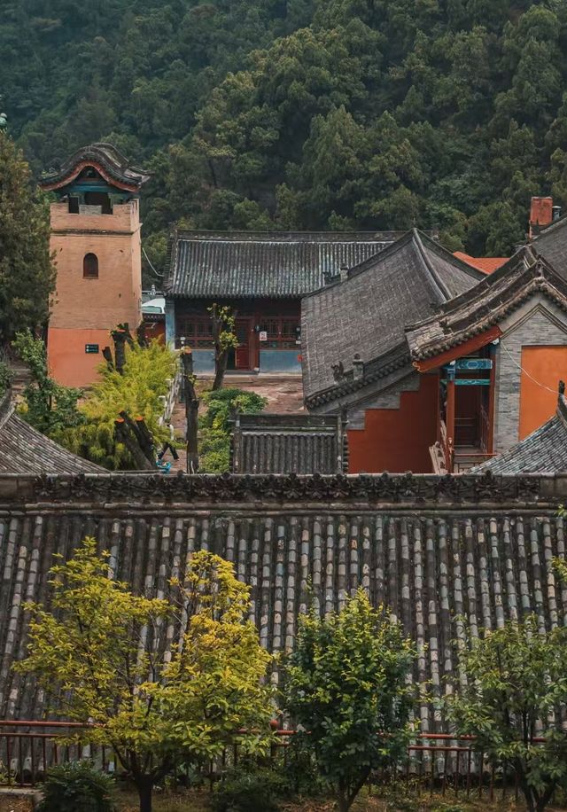玄中寺：淨土祖庭的千年回響