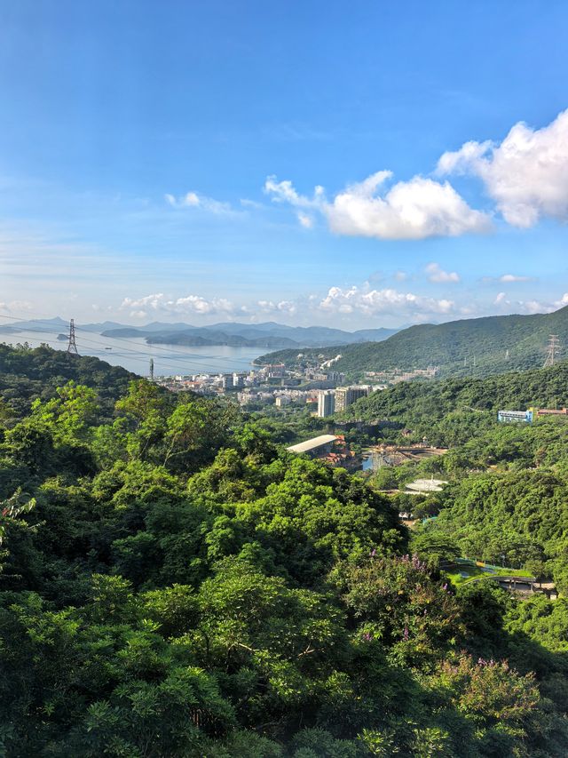 山林雲海的治癒！俯瞰大梅沙海景的絕版民宿～