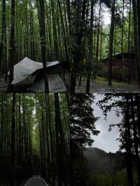 逃離火爐！重慶主城1.5h直達四大20℃清涼秘境週末約姊妹