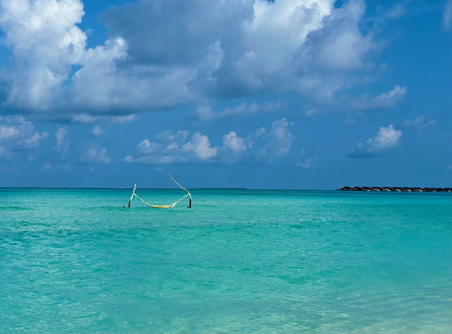 Island Indulgence: The Best of Both Worlds