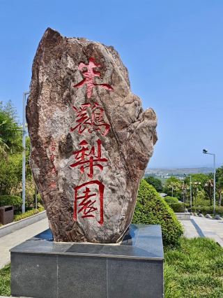 朱鷺梨園｜秋の彩りと白い羽の共演