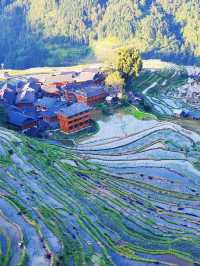 貴州秘境｜加榜梯田2025最新旅行攻略比龍脊更早金黃！