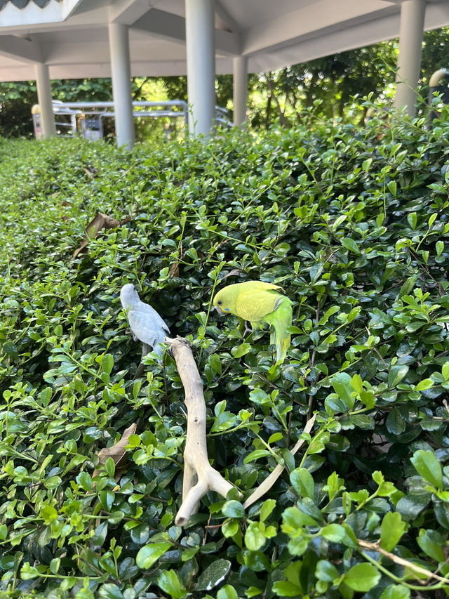 Weekend Vibes at Nanshan Park