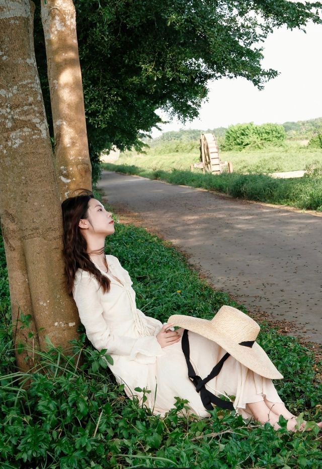 龍壽洋的風，吹來了海南最濃的秋意