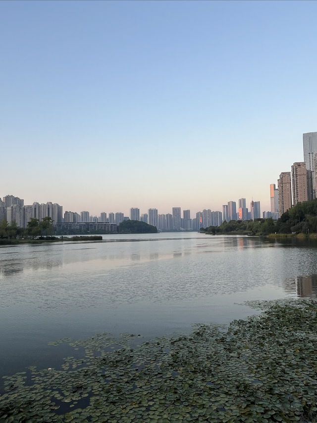 【深圳+長沙|兩家特色酒店,承包我的快樂假期】 【深圳+長沙|兩家特色酒店,承包我的快樂假期】