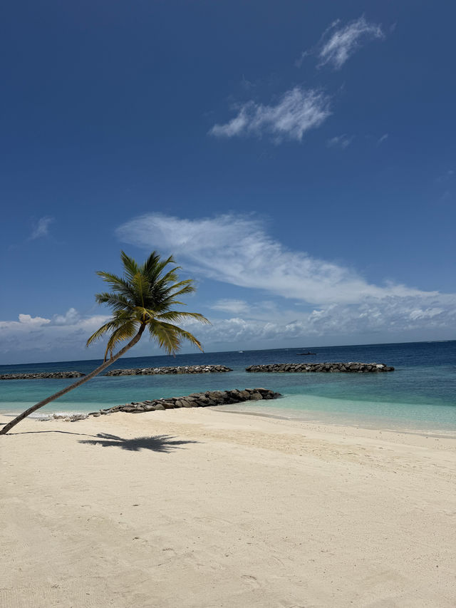 Unforgettable Honeymoon at The St. Regis Maldives
