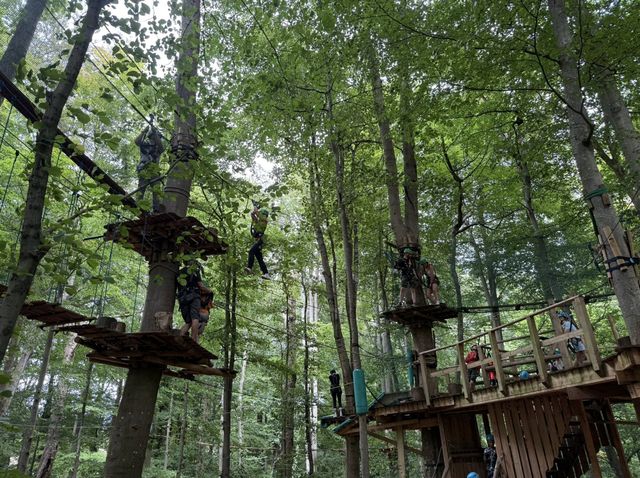 Thrilling Experience at Tree Tops High Ropes Adventure