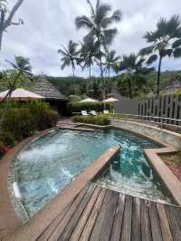 Paradise at Constance Ephelia