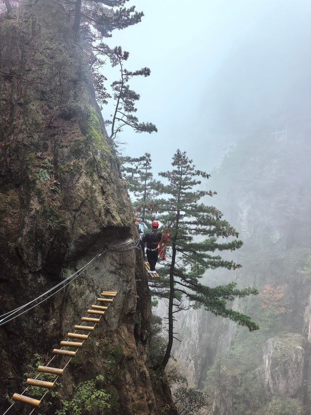 老君山尋仙記