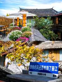 🌟看古城全景！這家民宿的花園露台真的絕了！✨
