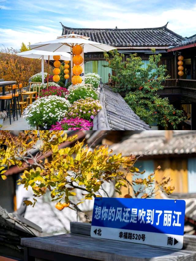 🌟看古城全景！這家民宿的花園露台真的絕了！✨