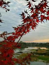 解鎖魯家灘濕地公園的隱藏玩法，邂逅自然與歡樂的完美融合