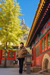 北京出發1小時，去乾隆巡行過的仙山賞秋去
