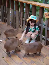 上海3h溯溪漂流避暑親子寶藏遛娃地