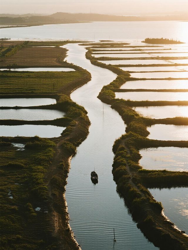 來鄱陽湖草海這樣玩2條治癒系路線請收好