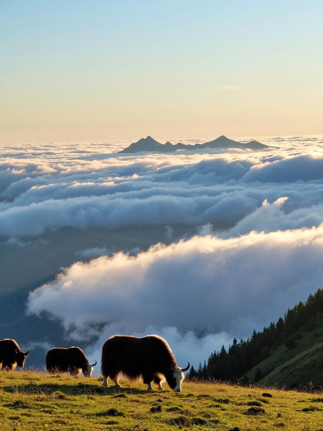 桂林陽朔必打卡之地：相公山日出與雲海 這次要分享的是一個超美的旅行目的地——相公山 日出與雲海