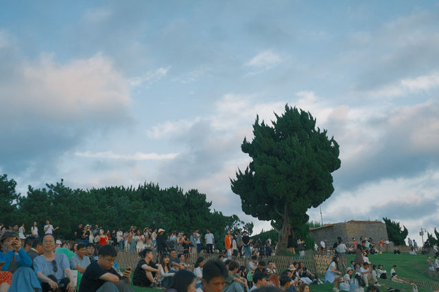 【青島小麥島】闖入宮崎駿的夏天，與海風和一棵樹獨處