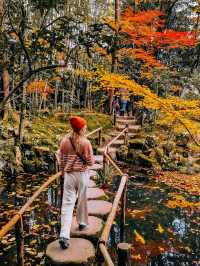 秋日京都物語，紅葉季也太美了