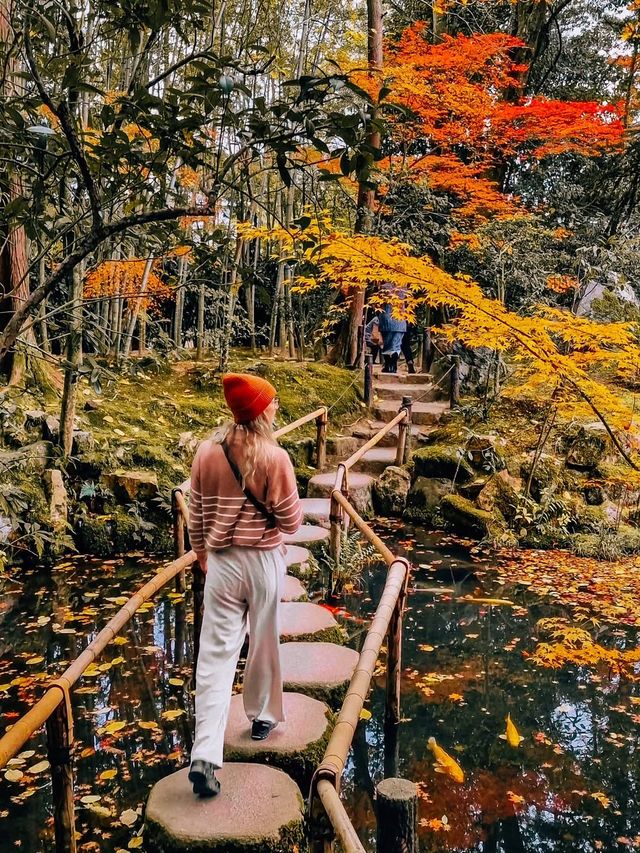 秋日京都物語，紅葉季也太美了