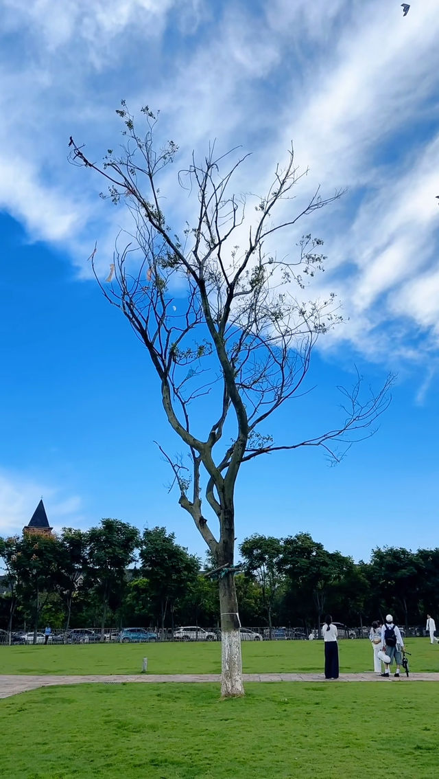 昆明丨瑞士園公園