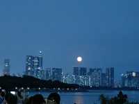 深圳一日遊,打卡高能!