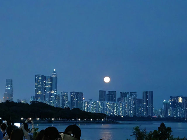 深圳一日遊,打卡高能! 深圳一日遊,打卡高能!