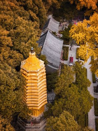 Beijing 1h away, finally someone has clearly explained the Panshan travel guide!