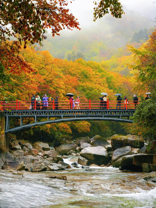 四川で油絵のような秋、米倉山の紅葉シーズンに出会い、美しさに感動