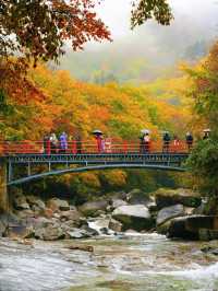 在四川邂逅油畫般的秋天米倉山紅葉季美哭我了!