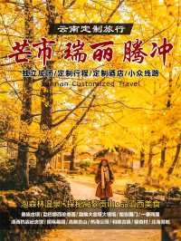 騰衝瑞麗芒市這條路線 |讓我玩到不想回家