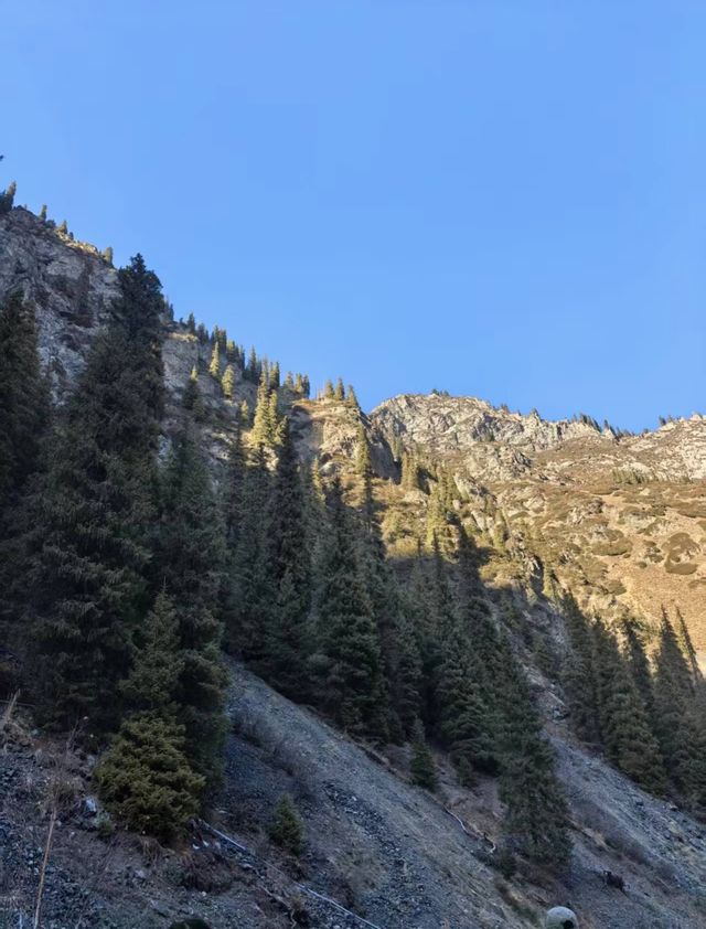 天山深處的綠寶石:烏魯木齊南山牧場一日漫記 天山深處的綠寶石:烏魯木齊南山牧場一日漫記