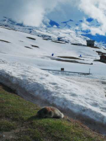瑞士自駕探險 雪山瀑布任你行🚗