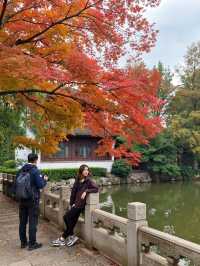 秋天的調色盤打翻在雲平山|小眾秘境等你來探