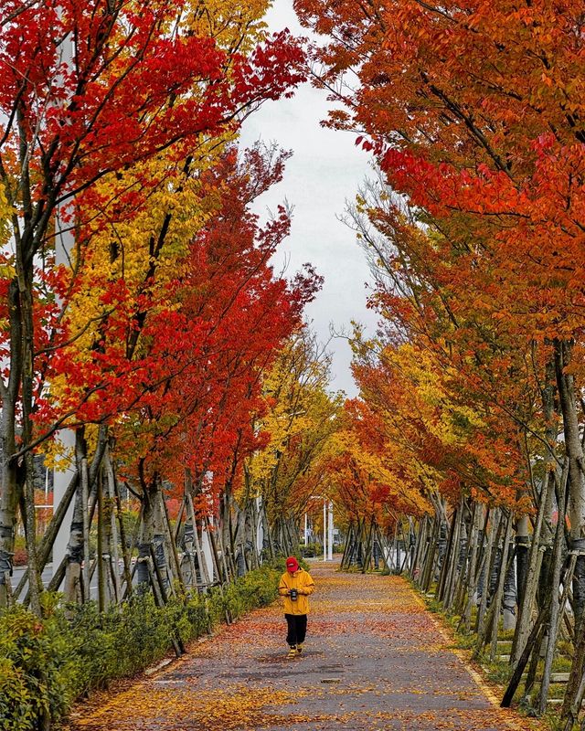 貴陽是五顏六色，多姿多彩的