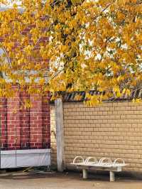 不在倫敦|天津也有自己的9又3/4月台