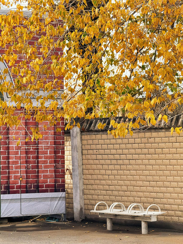 不在倫敦|天津也有自己的9又3/4月台 不在倫敦|天津也有自己的9又3/4月台