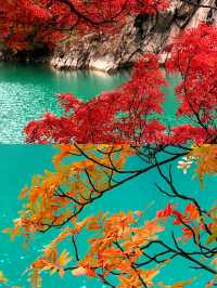 成都1h直達！川西「小九寨溝」美到失語，彩林已紅透