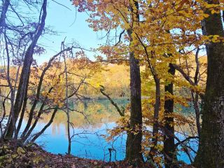 Switzerland's Hidden Gem｜Onex Park's Autumn Secret Map