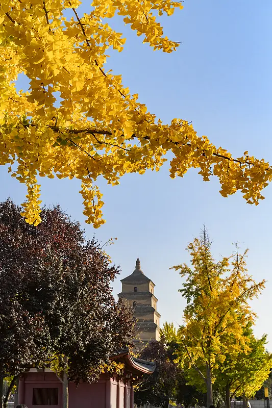 Xi'an Transforms into the Tang Dynasty's Mysterious City