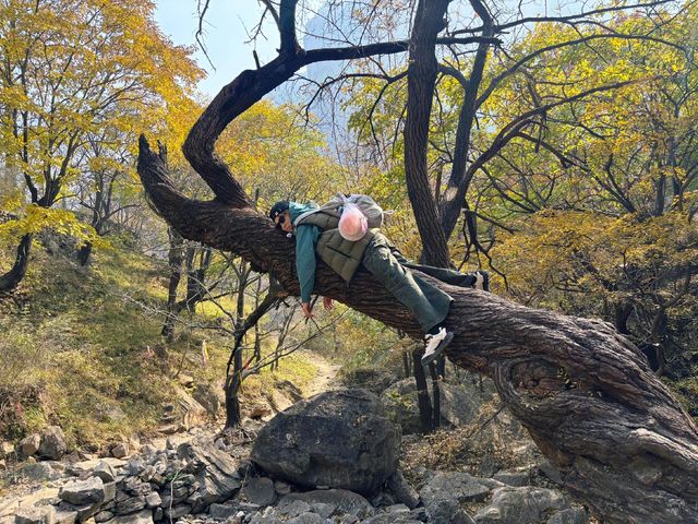 南太行秋日徒步